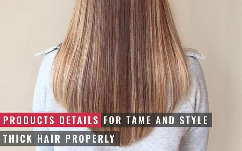 Featured Image of Products Details for Tame and Style Thick Hair Properly